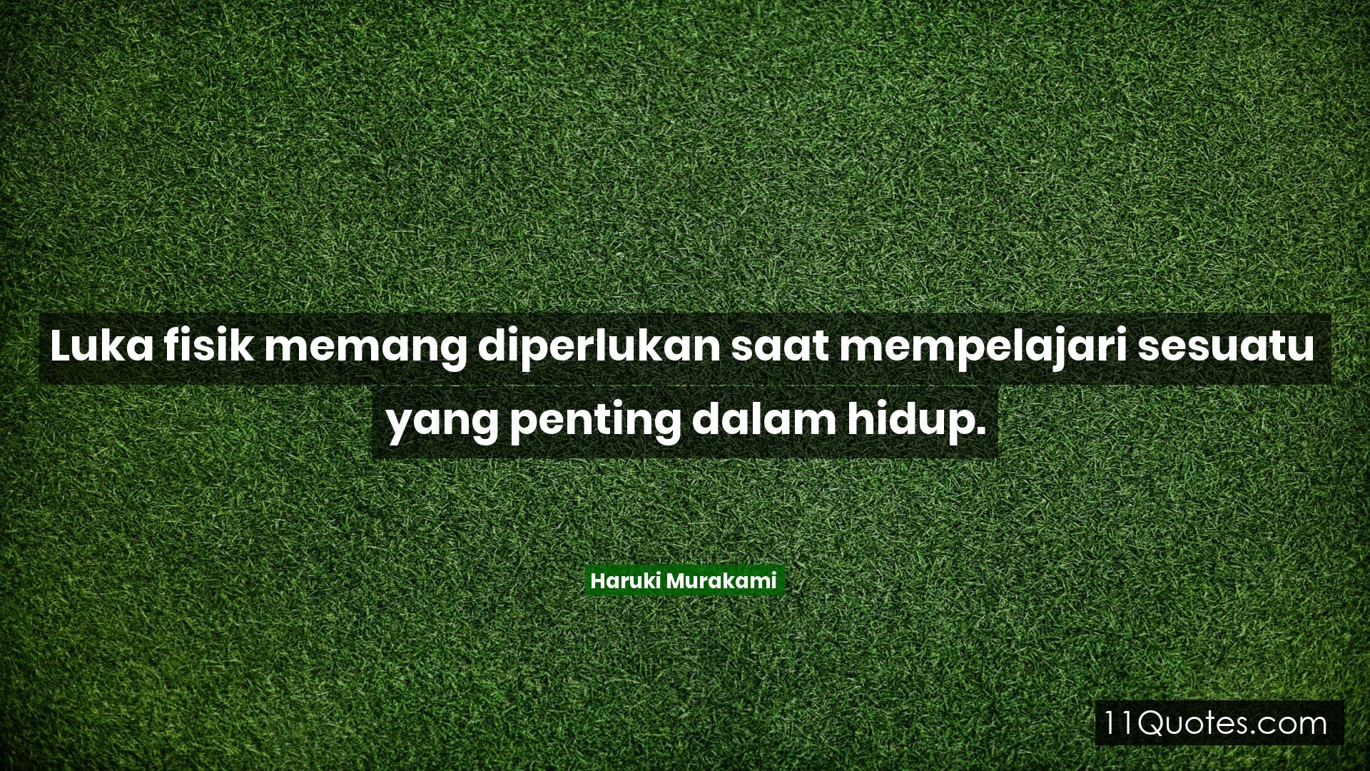 Screenshot - HD Wallpaper 