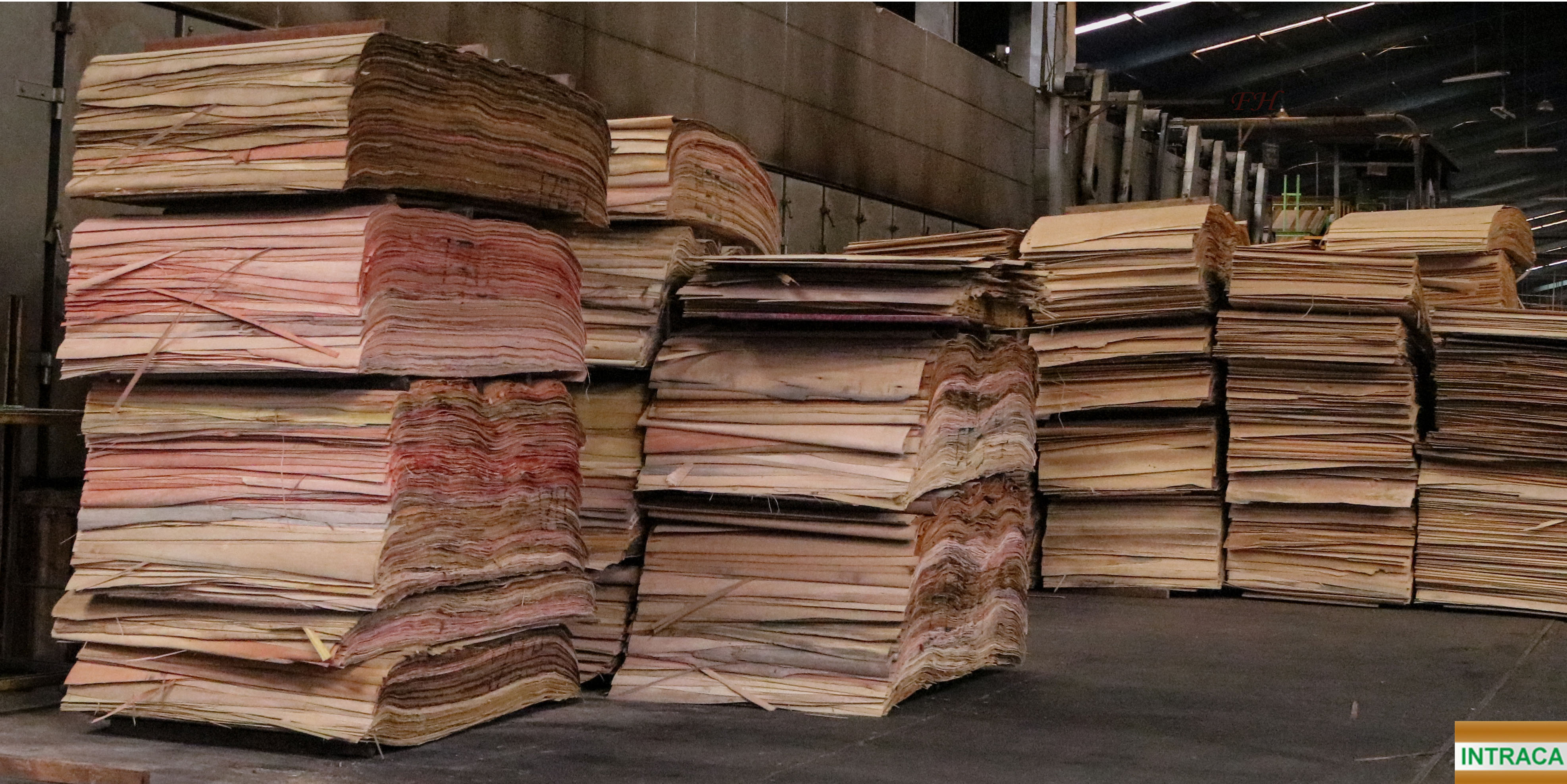 Portofolio - Lumber - HD Wallpaper 