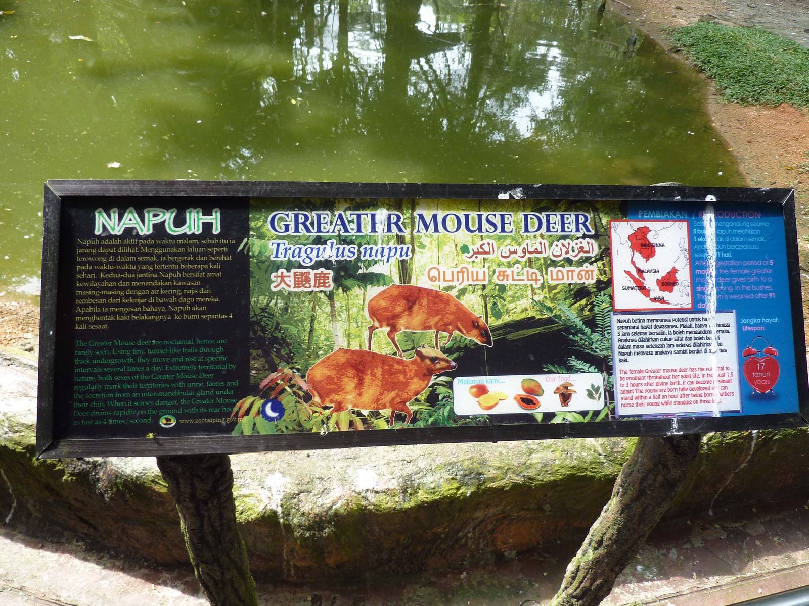 Signage Example, May 2013 
				data-realwidth - Aquarium - HD Wallpaper 