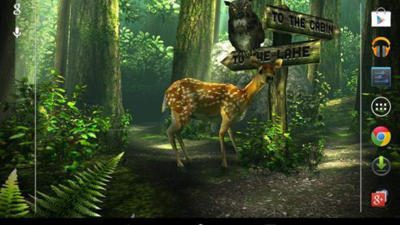 Deer Forest Hd Live - HD Wallpaper 