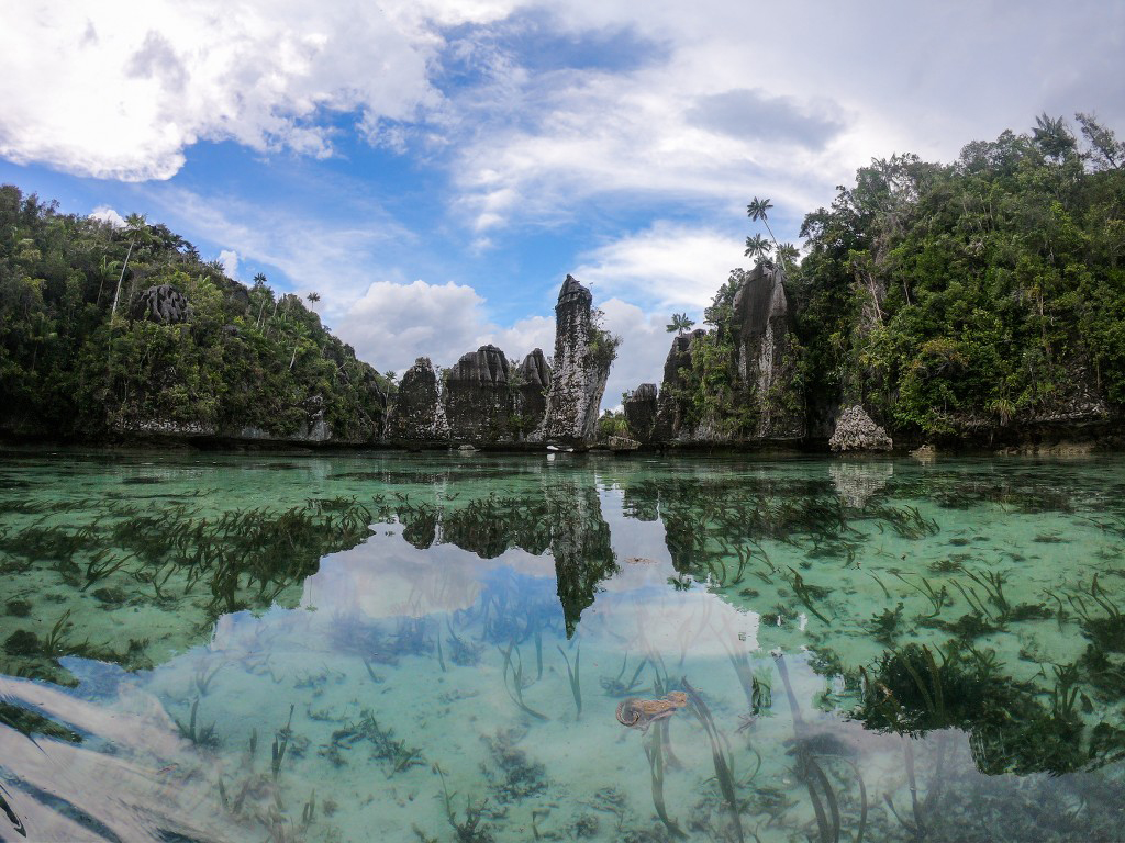 Reflection - HD Wallpaper 