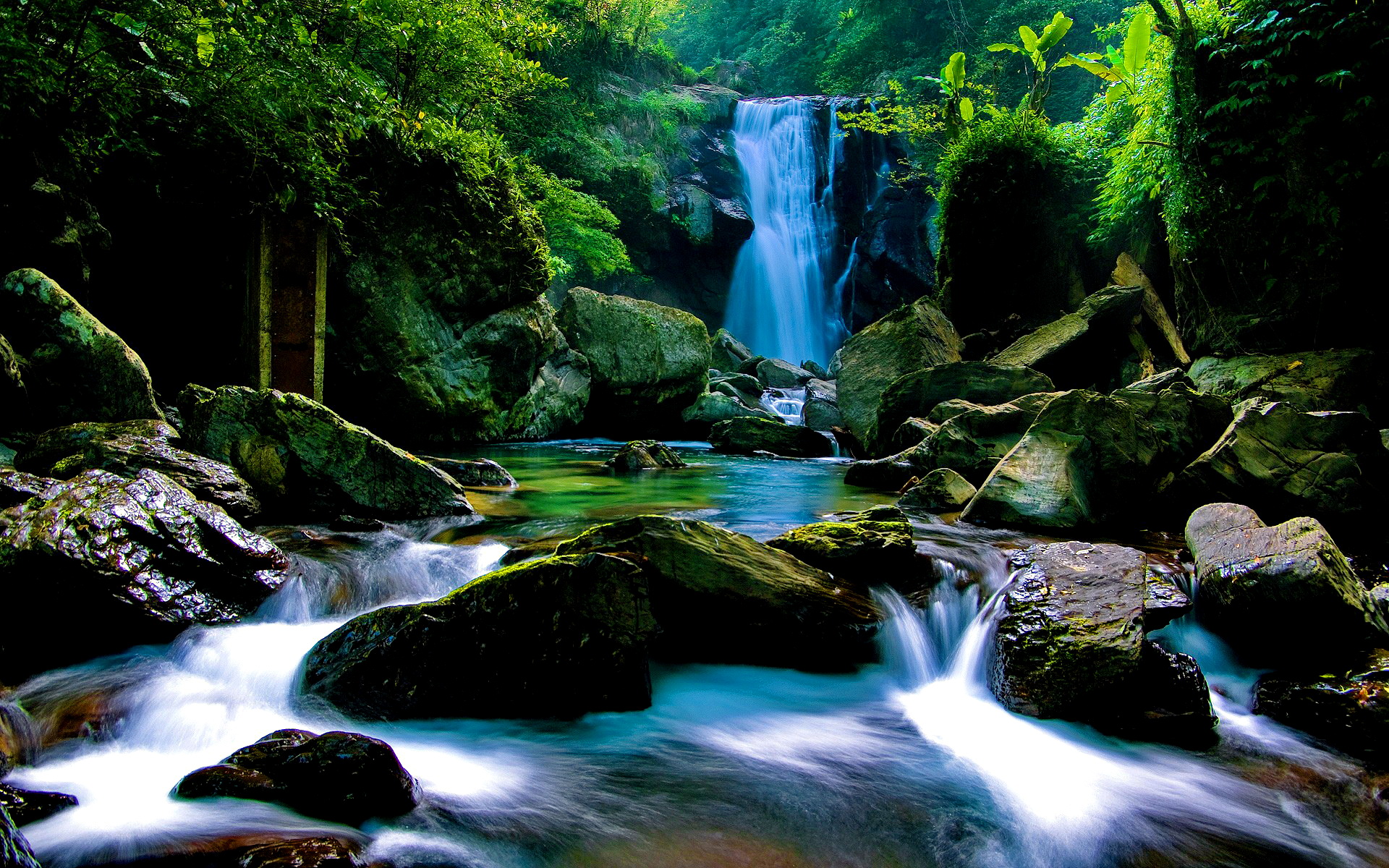 Leaves Background Wallpaper - Forest Waterfall - HD Wallpaper 