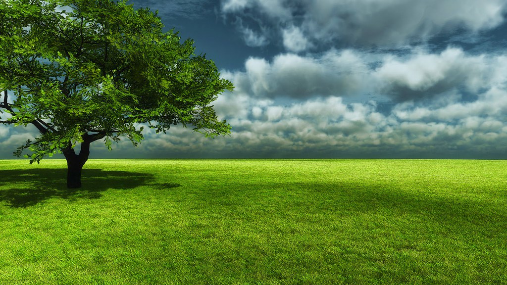 Sitting Under Tree Shade - HD Wallpaper 