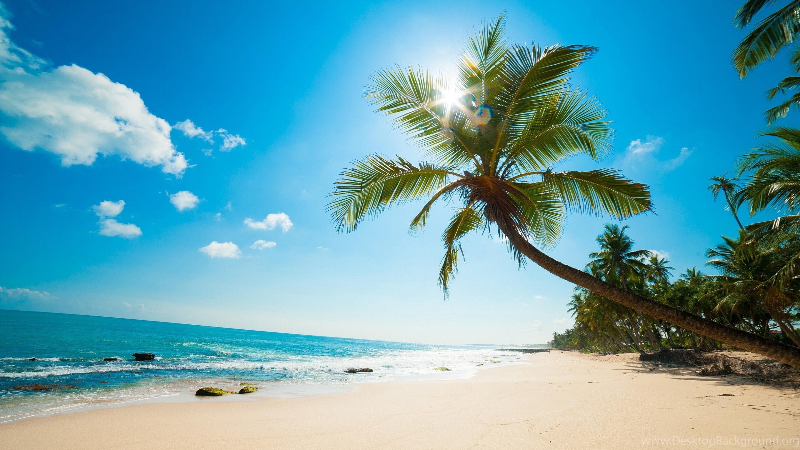 Beach Wallpapers Caribbean Download Hd Wallpapers Desktop - Caribbean Beach Wallpaper Hd - 2560x1440 Wallpaper Beach Wallpapers Caribbean Download Hd Wallpapers Desktop - Caribbean Beach Wallpaper Hd - 2560x1440 Wallpaper