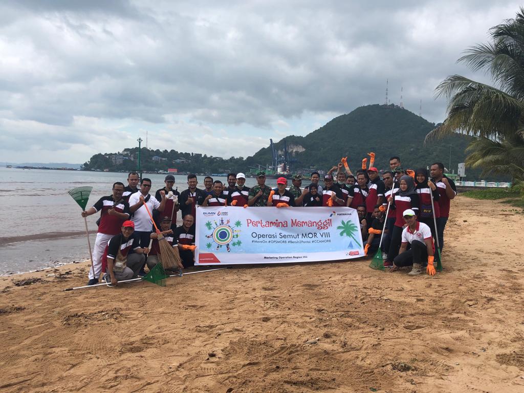 Attalea Speciosa - HD Wallpaper 