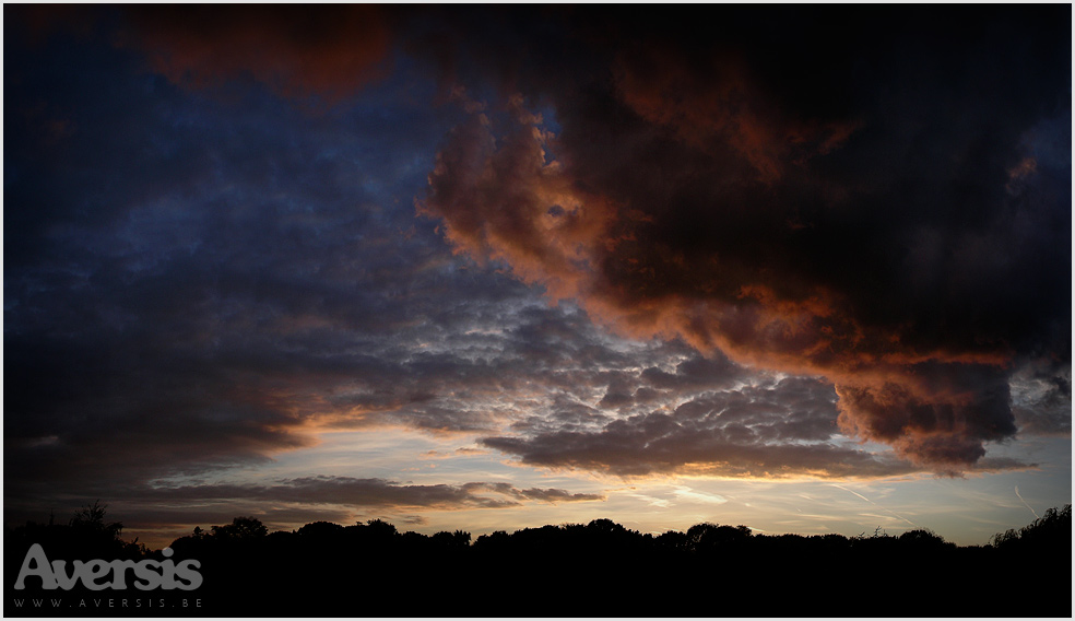 3d Wallpaper Fish Orange - Free Desktop Backgrounds - HD Wallpaper 