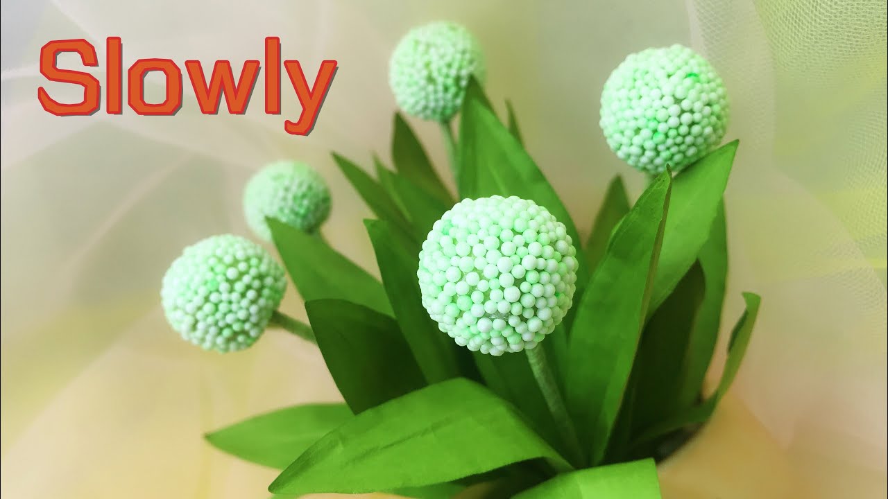 Common Zinnia - HD Wallpaper 