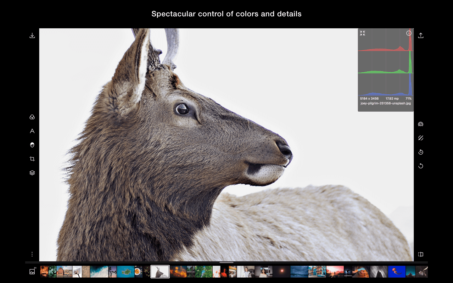 Polarr Photo Editor - HD Wallpaper 
