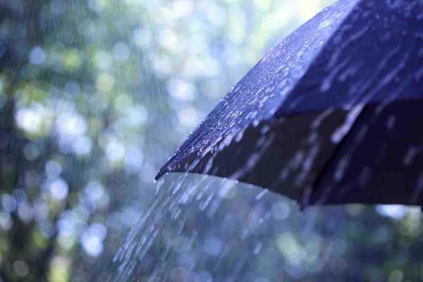 Download Android Apk Aquarium Sea Seals Theme Wallpaper - Lot Of Rain - 600x400 Wallpaper Download Android Apk Aquarium Sea Seals Theme Wallpaper - Lot Of Rain - 600x400 Wallpaper