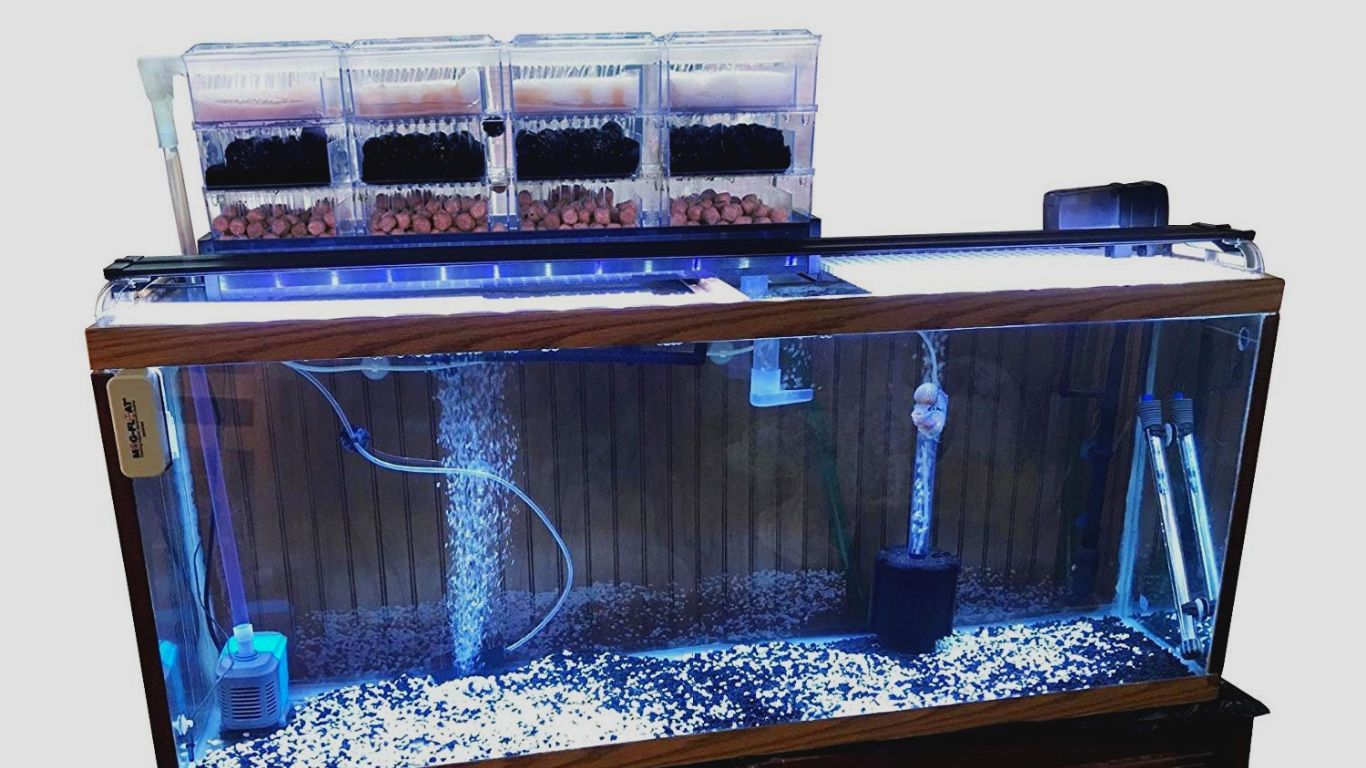 Filter Aquarium - HD Wallpaper 