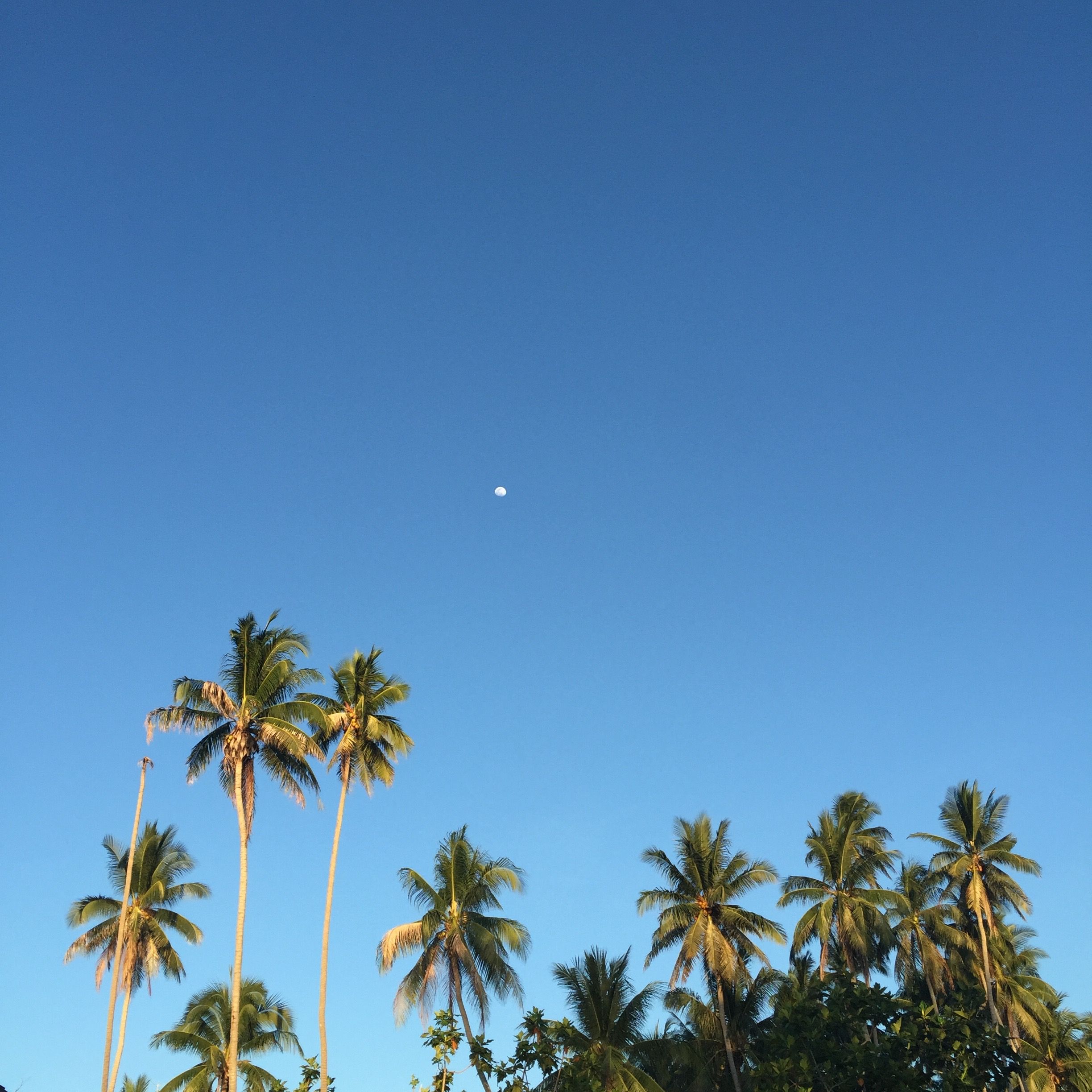 Warna Biru - HD Wallpaper 