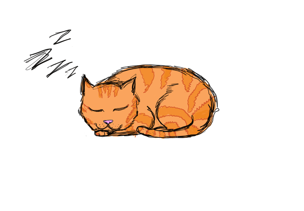 Orange Cat Cartoon Gif - HD Wallpaper 