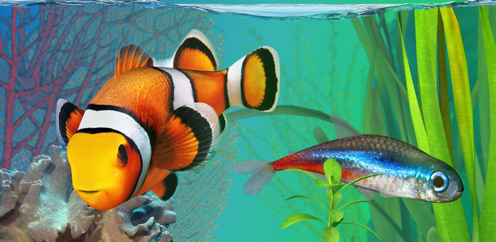 5 Game Android Buat Kamu Yang Hobi Pelihara Ikan Di - Fish - HD Wallpaper 