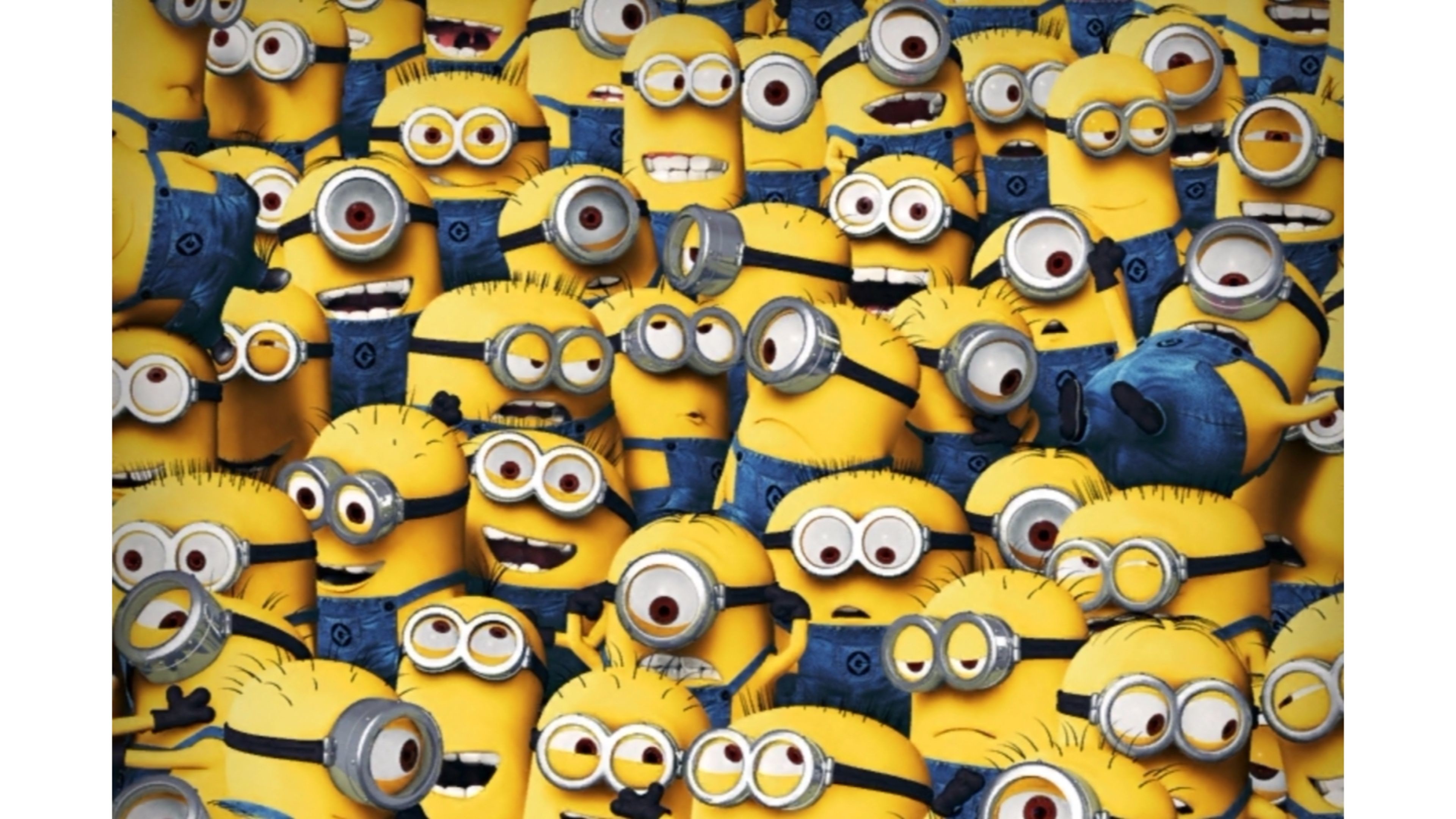 New Despicable Me 2016 Minions 4k Wallpaper 
 Data - Minion Wallpaper 4k - HD Wallpaper 