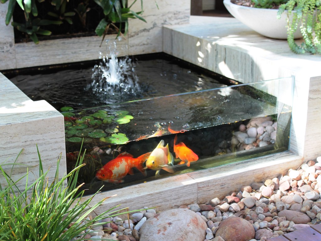Mini Fish Pond - HD Wallpaper 