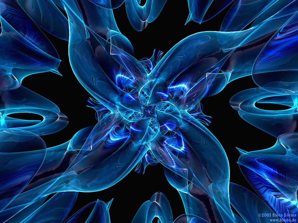 Lotus Flower - HD Wallpaper 