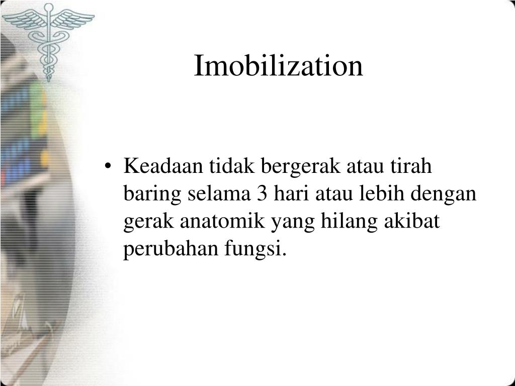 Peafowl - HD Wallpaper 