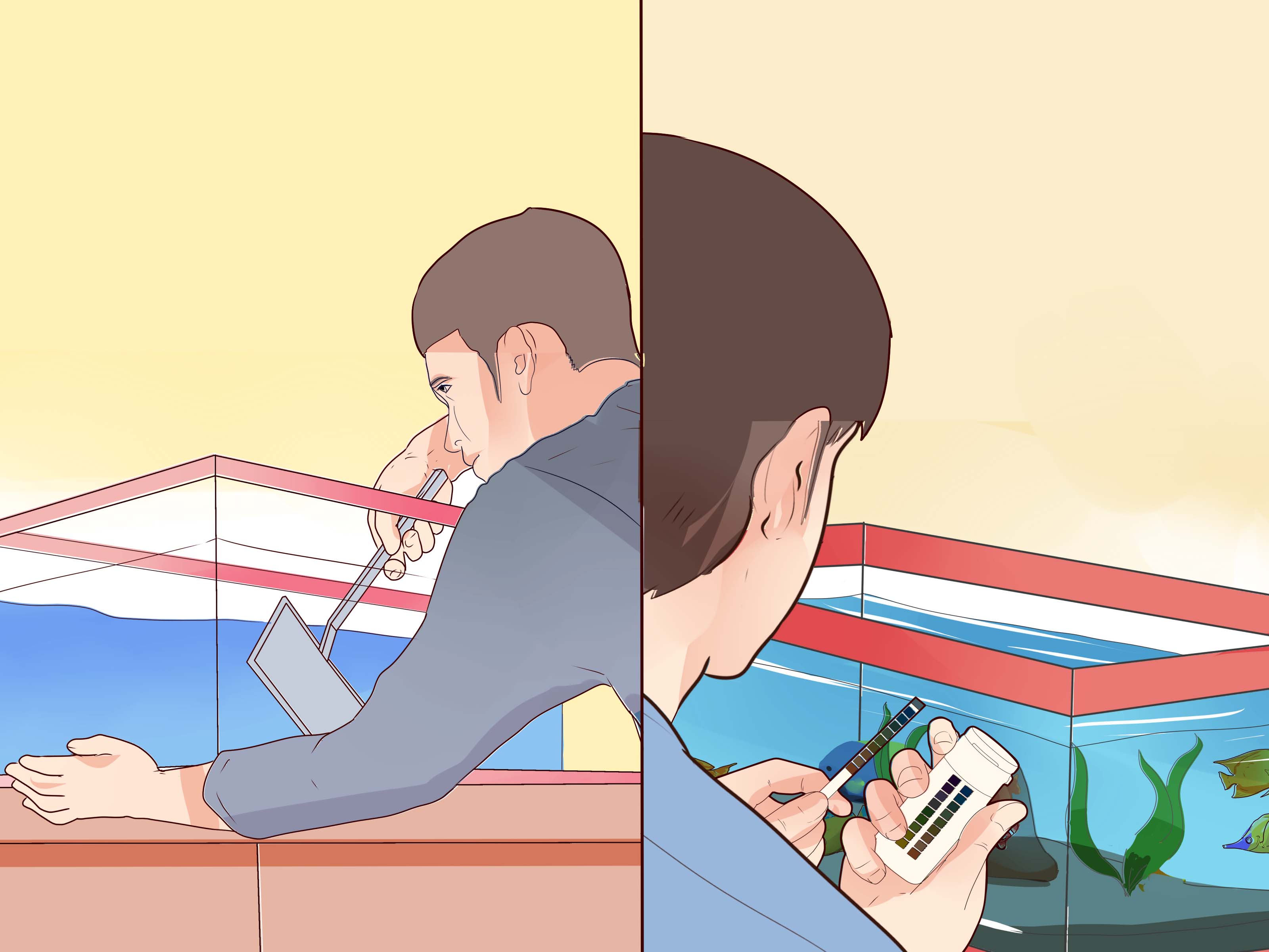 Image Titled Make Your Fish Live Longer Step - HD Wallpaper 