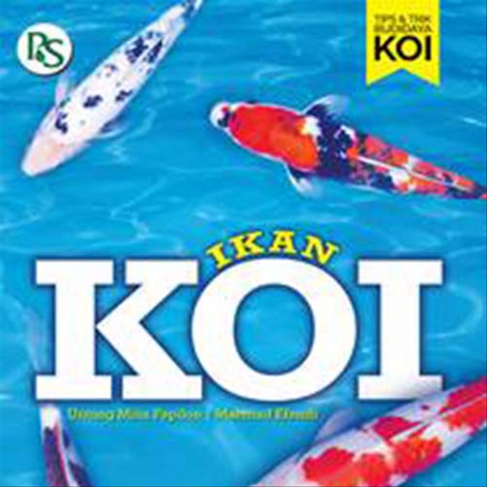 Kelapa Sawit - HD Wallpaper 