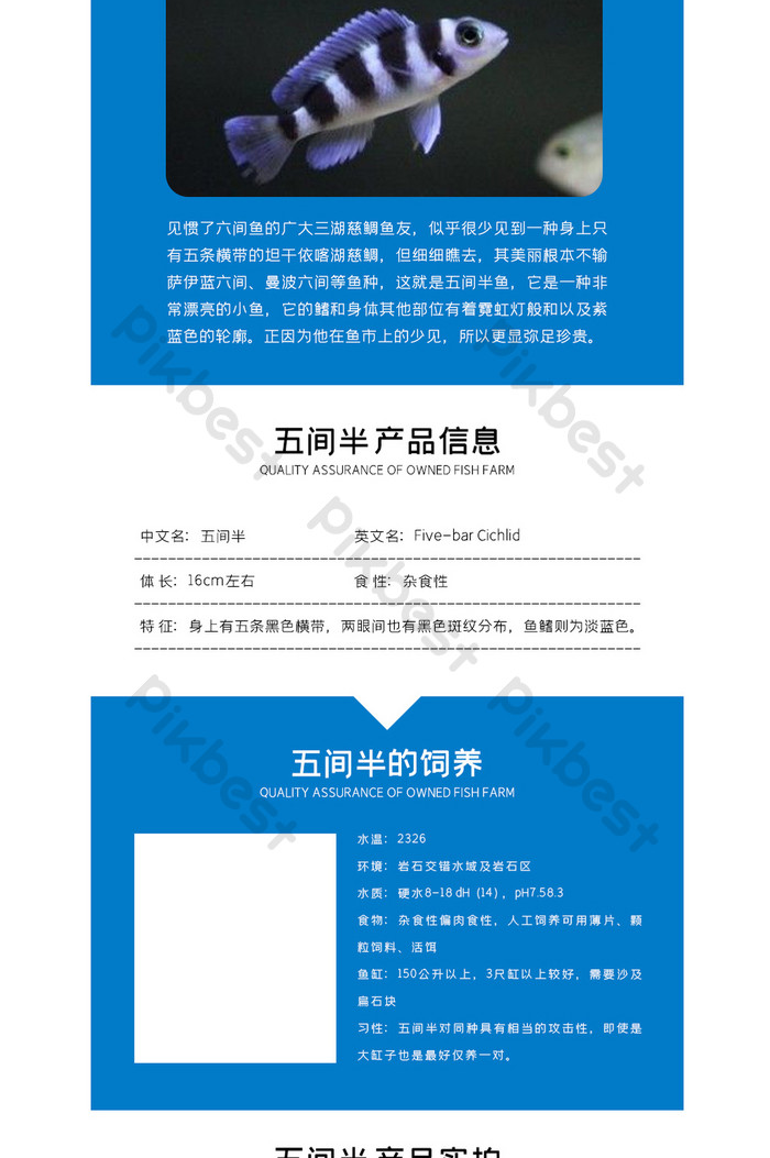 Ikan Koi Hidup Ikan Hias Ikan Air Tawar Air Dingin - Flyer - HD Wallpaper 