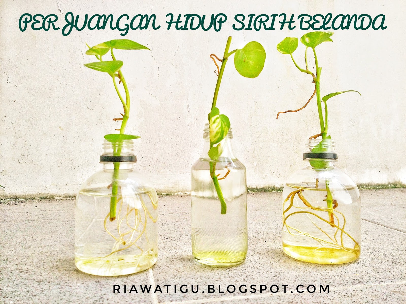 Glass Bottle - HD Wallpaper 