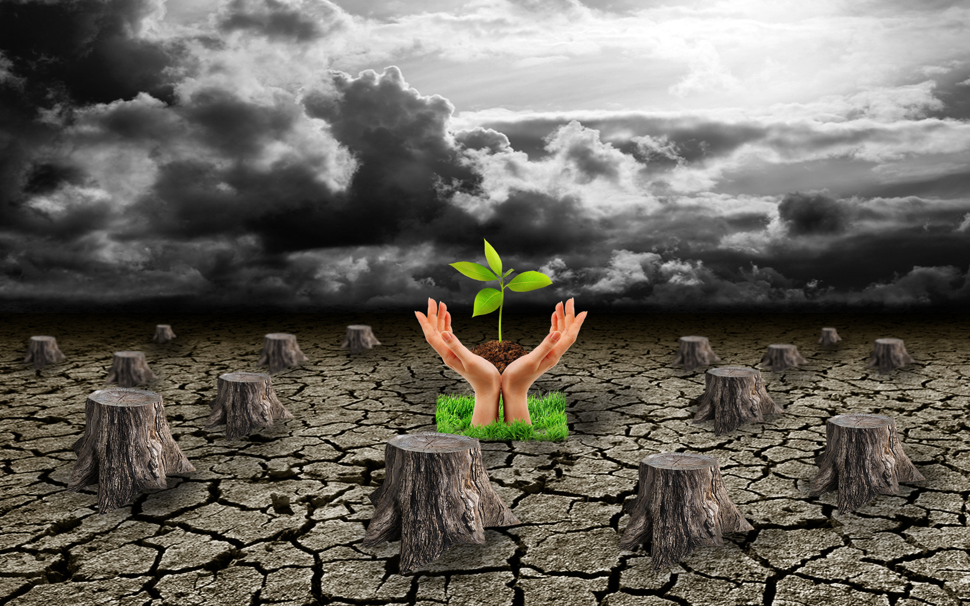 Wallpaper Hujan Hidup - HD Wallpaper 