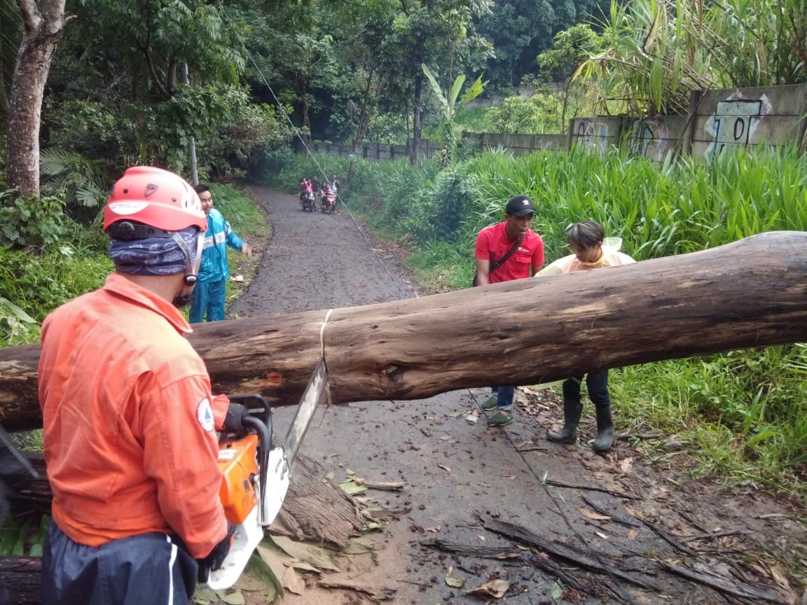 Lumber - HD Wallpaper 