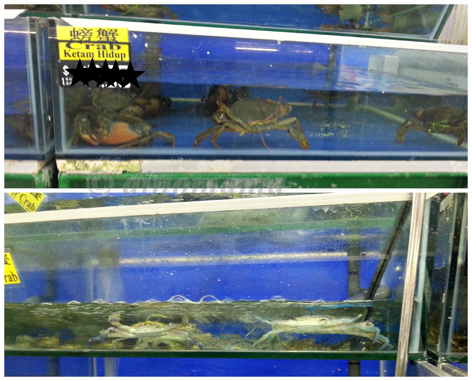 Sheng Siong Live Fish - HD Wallpaper 