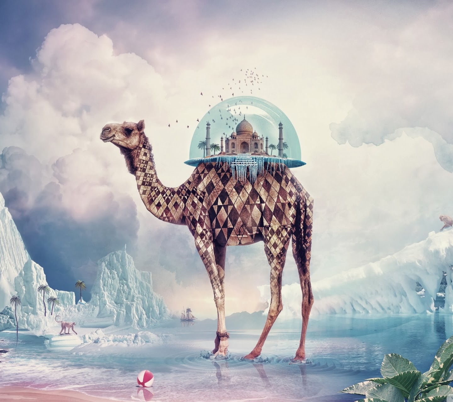 Wallpaperswide
india Wallpapers Hd Download India Wallpapers - Camel Wallpaper Iphone - HD Wallpaper 