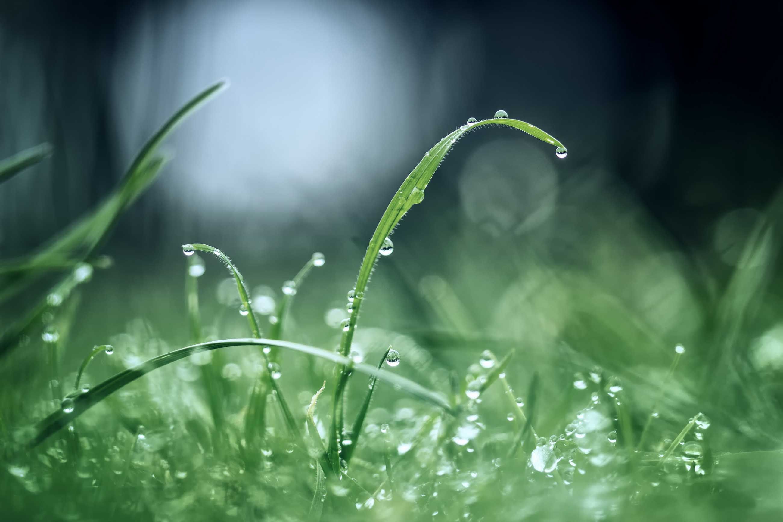 Ultra Hd Rain Hd - HD Wallpaper 