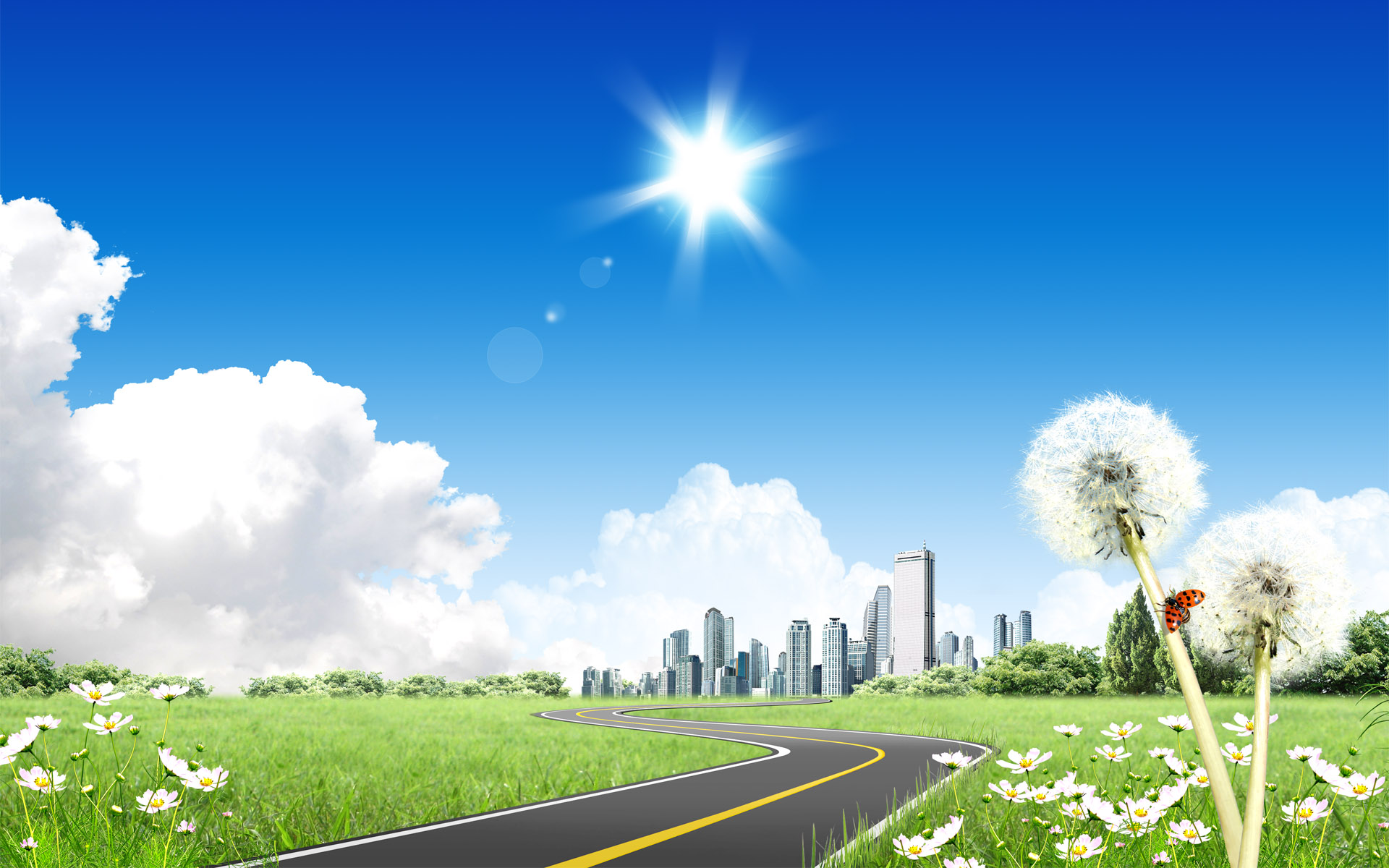 Road Background - HD Wallpaper 