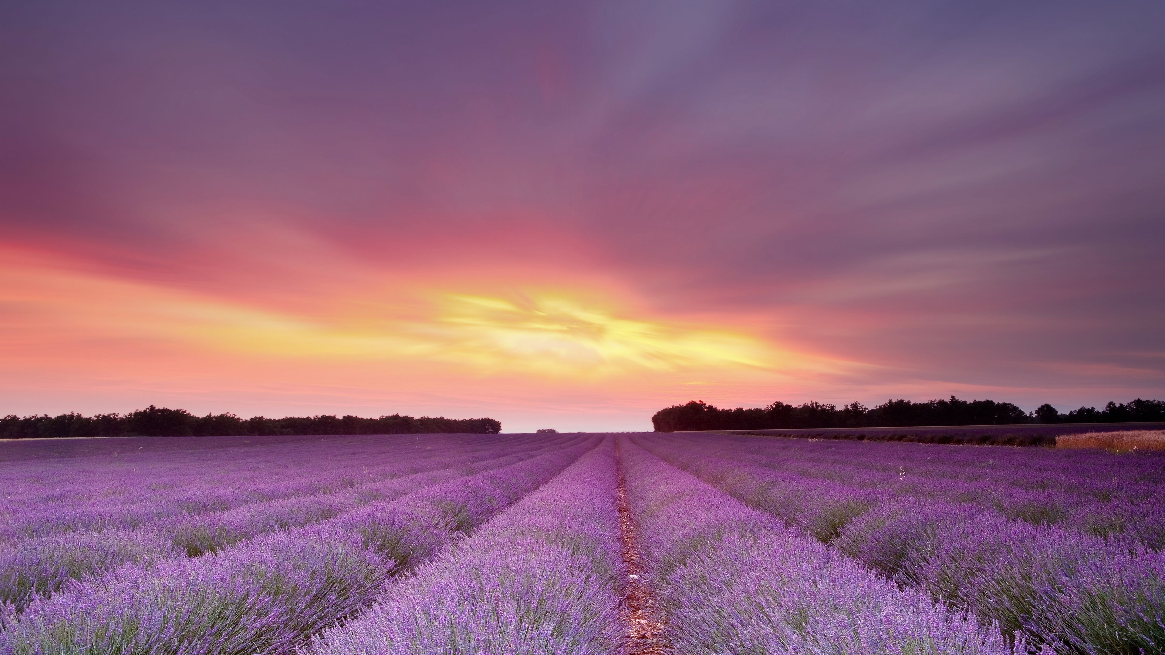 4k Wallpaper Field - HD Wallpaper 