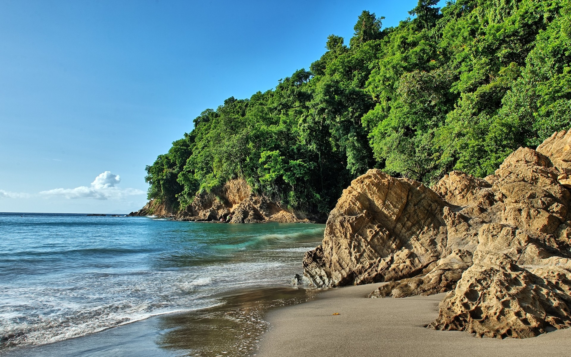 Nature 4k Ultra Hd Backgrounds Wallpaper - Ultra Hd 4k Hd Background - HD Wallpaper 