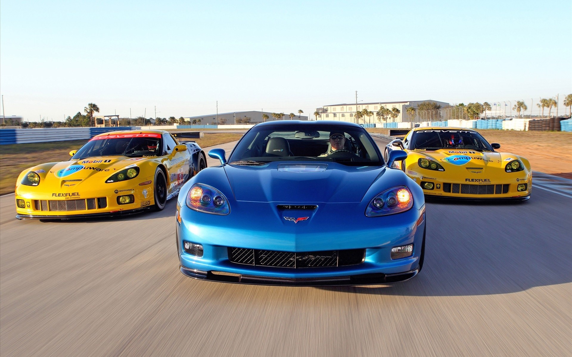 2010 Corvette Racing Sebring Cars 
 Data Src Free Download - Racing Cars Hd - HD Wallpaper 