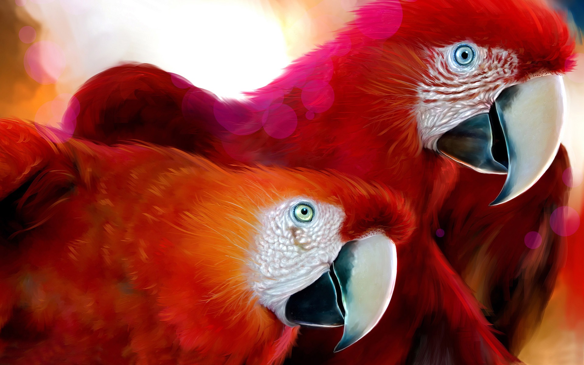 Beautiful Parrots - HD Wallpaper 