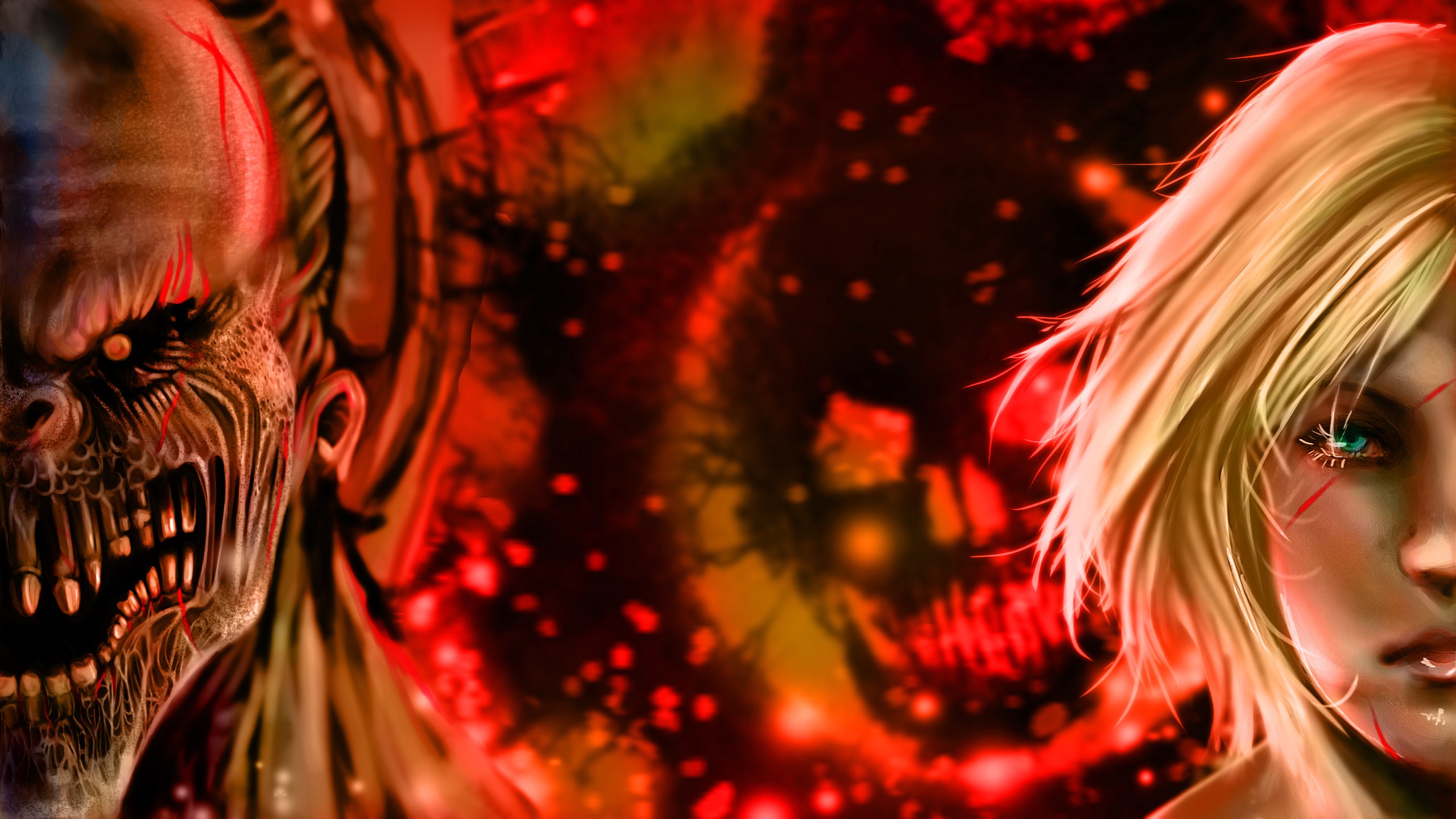 Zebra - HD Wallpaper 