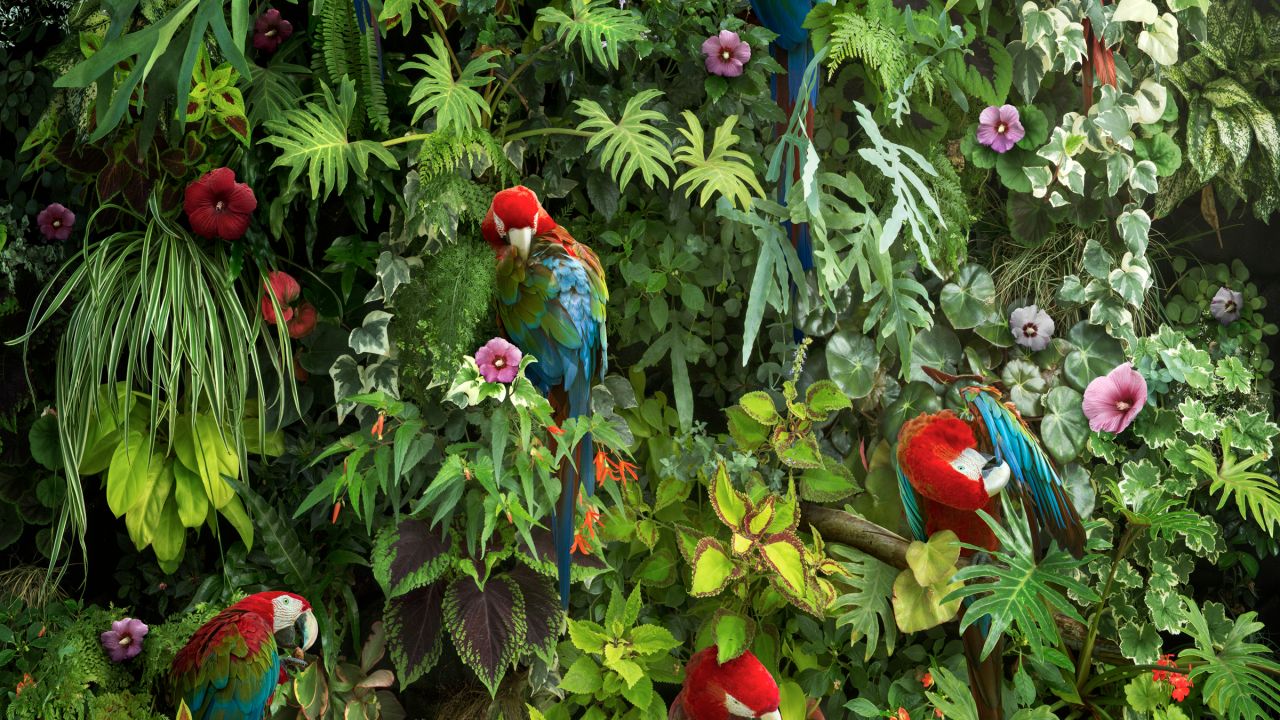 Nick Pedersen - HD Wallpaper 