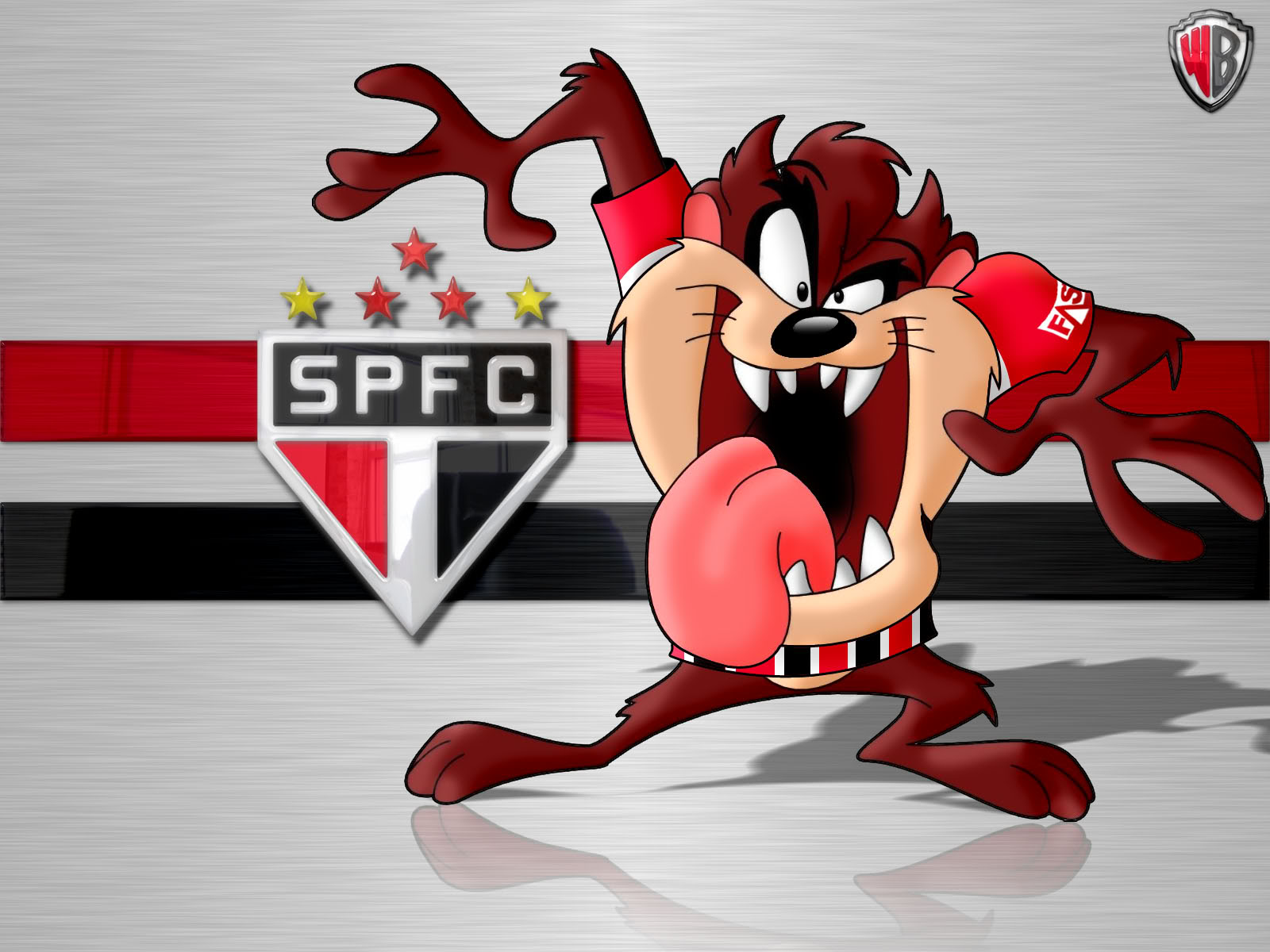 Sao Paulo Wallpaper - Tasmanian Devil - HD Wallpaper 