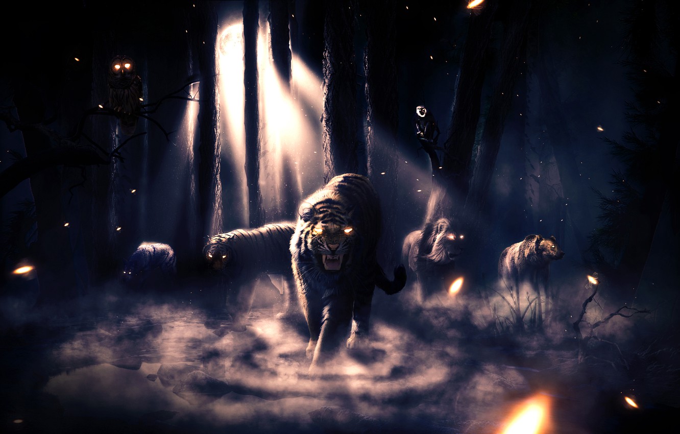 Photo Wallpaper Forest, Animals, Night, Tiger, Fog, - Dark Forest Background - HD Wallpaper 