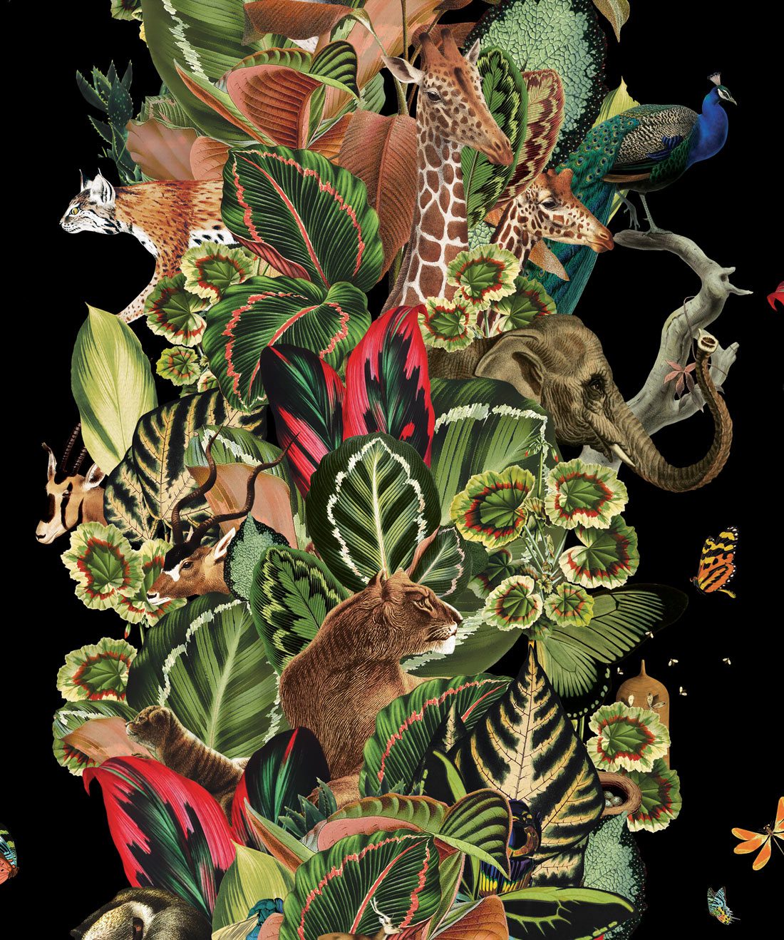 Viva Tropicana - HD Wallpaper 