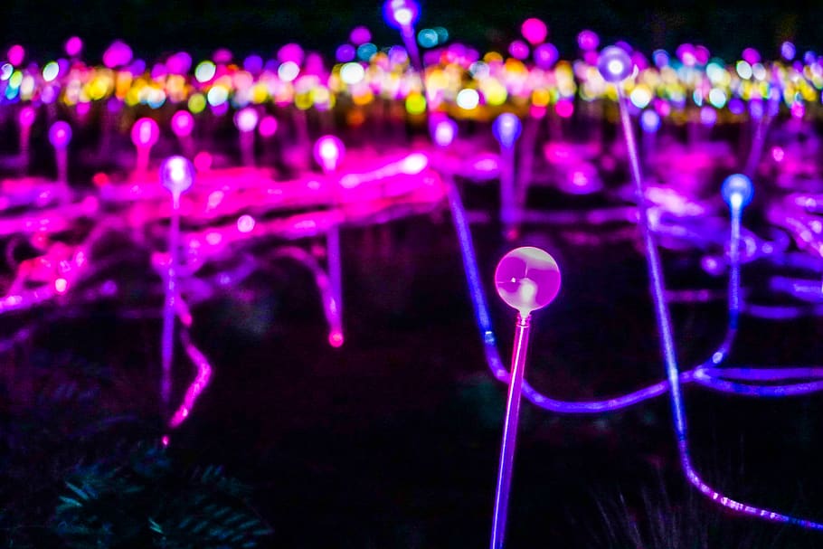 Light - HD Wallpaper 