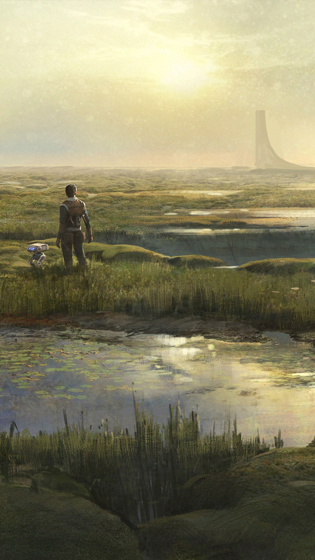 Star Wars Jedi Fallen Order - HD Wallpaper 