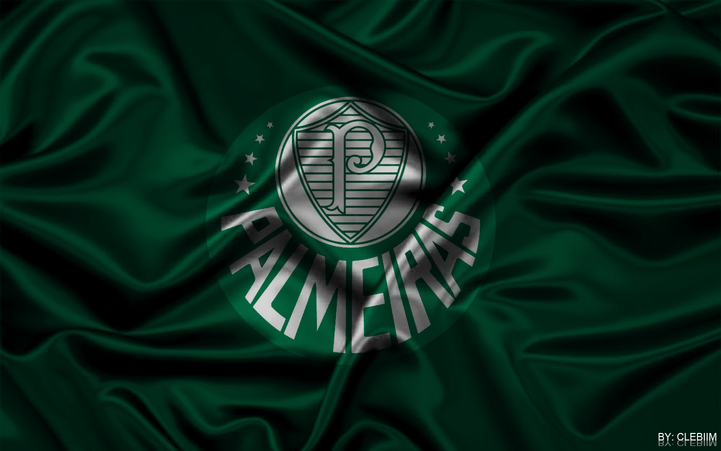Http - //2 - Bp - Blogspot - Com/ 84rl3hqchem/tzcy - Sociedade Esportiva Palmeiras - HD Wallpaper 
