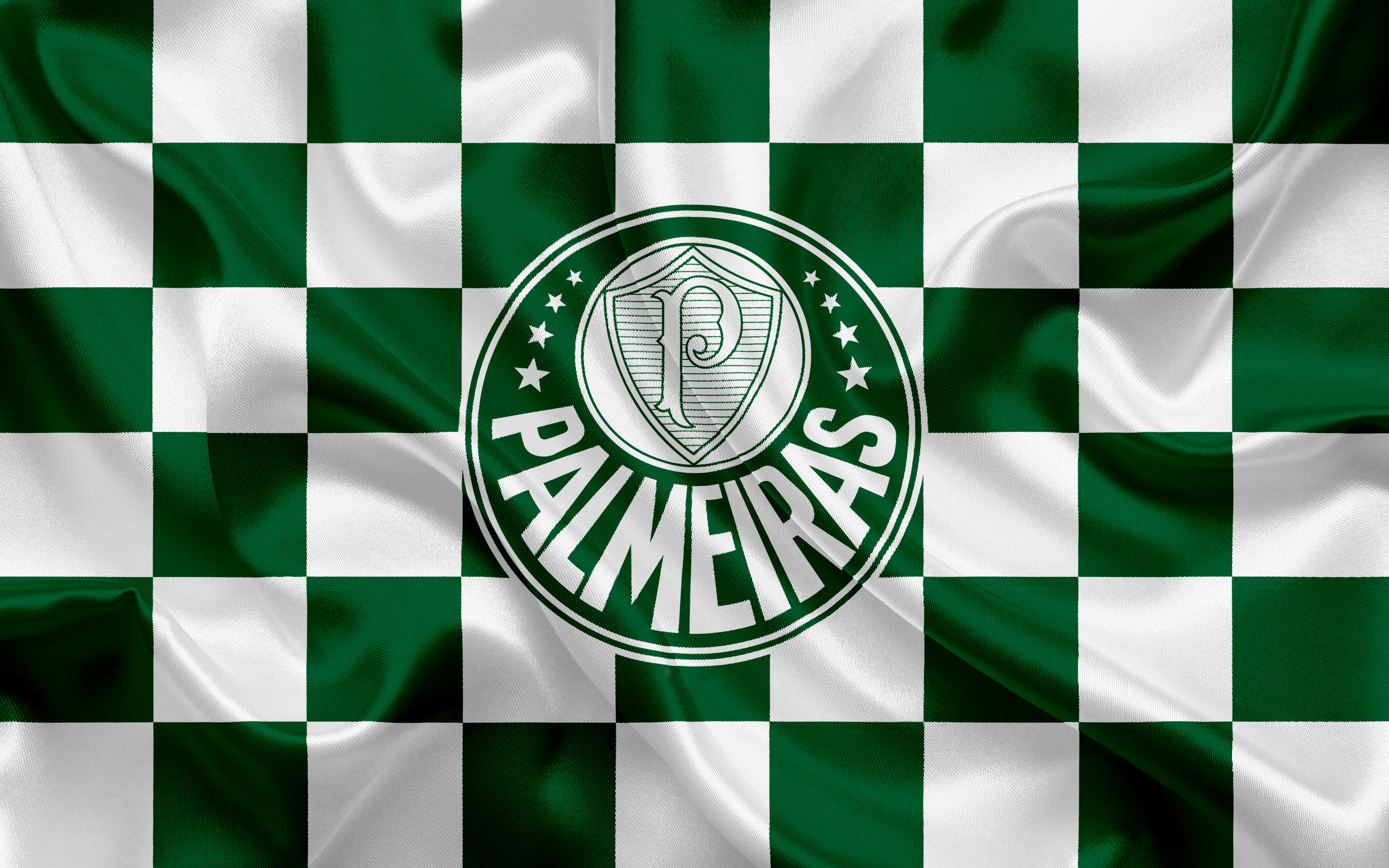 Papel De Parede Palmeiras - HD Wallpaper 