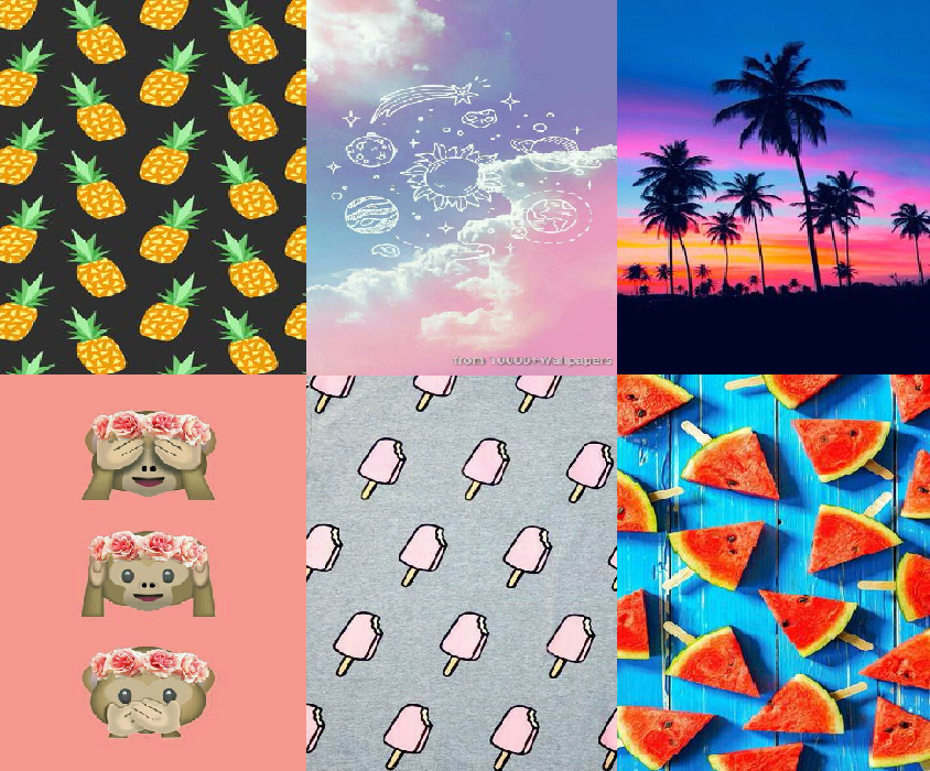 Attalea Speciosa - HD Wallpaper 