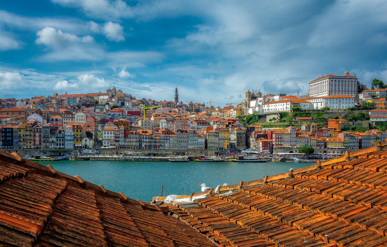 Photo Wallpaper Roof, River, Building, Home, Portugal, - Cityscape - HD Wallpaper 