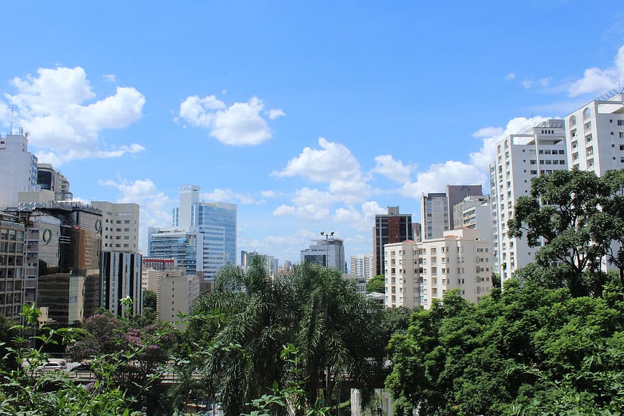 Outdoors, Garden, Arbour, Brazil, São Paulo, Building, - Tower Block - HD Wallpaper 