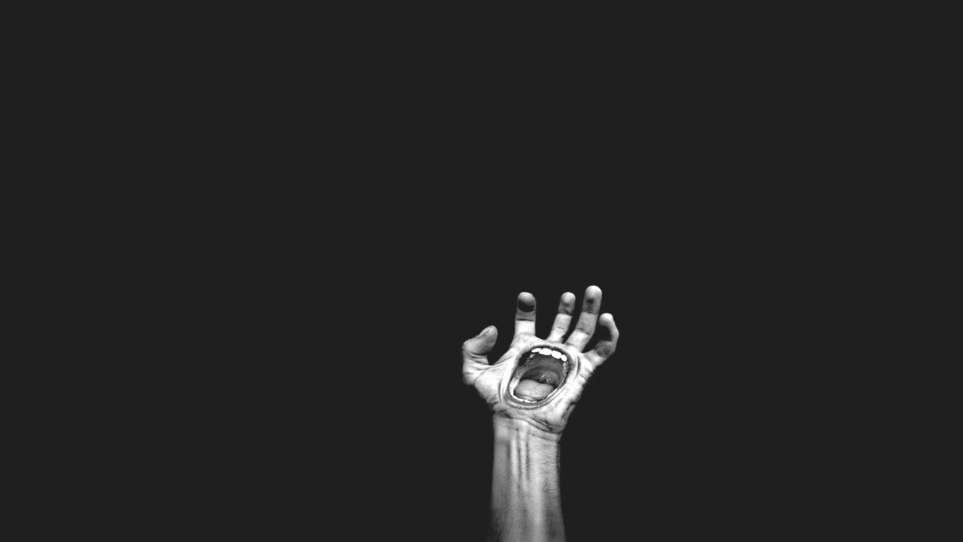 Wallpaper - HD Wallpaper 