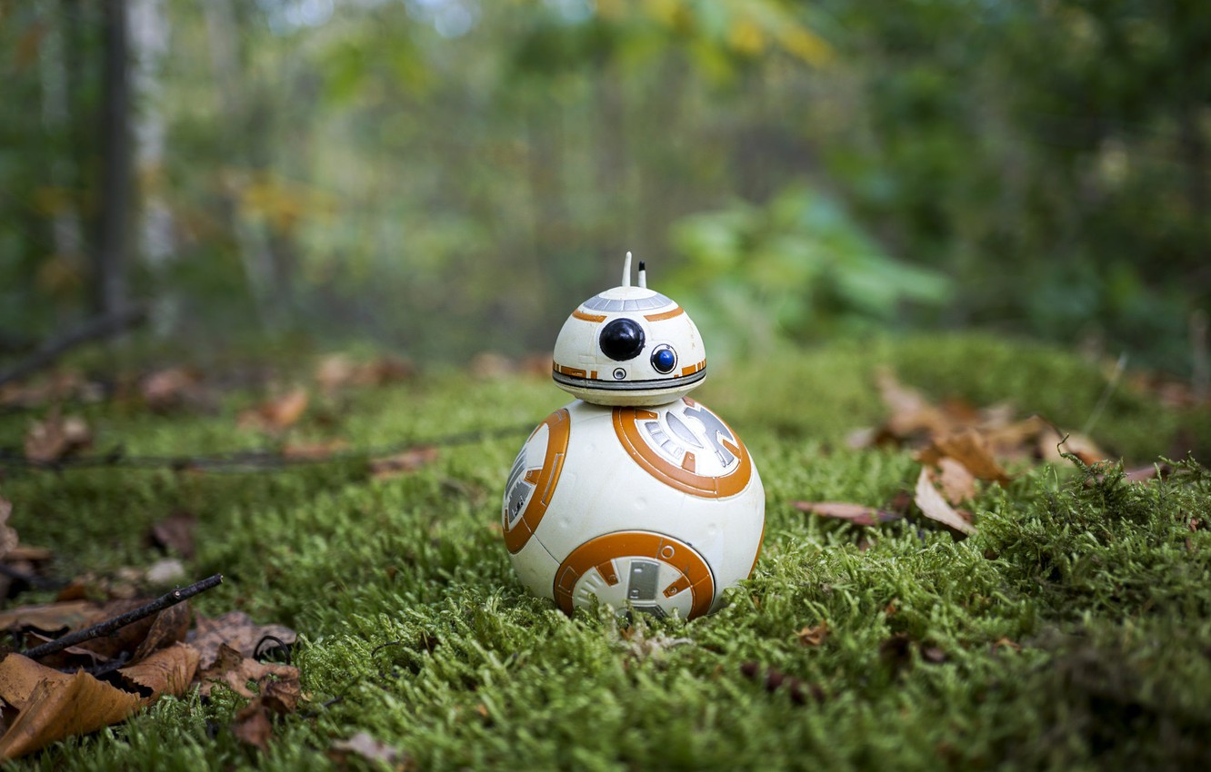 Photo Wallpaper Star Wars, Grass, Bb-8 - Bb8 Обои На Рабочий Стол - HD Wallpaper 