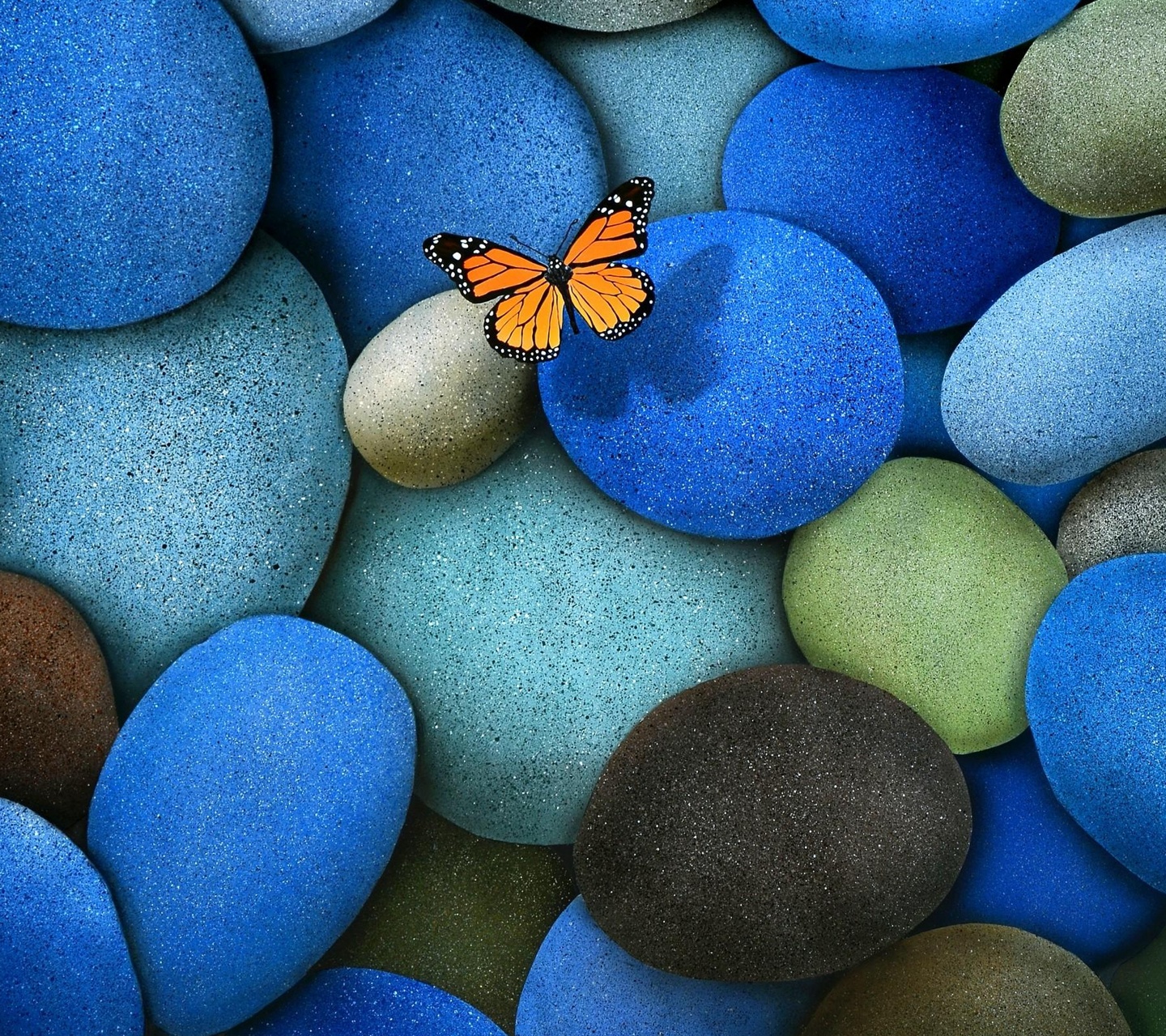 Best Wallpapers For Mobile Free Download - Mobile Wallpaper Download - 1440x1280 Wallpaper Best Wallpapers For Mobile Free Download - Mobile Wallpaper Download - 1440x1280 Wallpaper